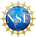 Logo Nsf
